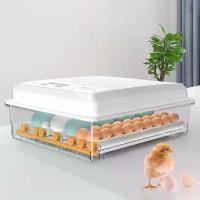 ราคา เครื่องฟักไข่ ระบบไฟฟ้าคู่ ตู้ฟักไข่ออโต้ ตู้ฟักไข่ 24 ตู้ฟักไข่ไก่ ตู้ฟักไข่ออโต้ ตู้ฟักไข่อัตโนมัติ ตู้ฟักไข่ไก่ชน อุปกรณ์ตู้ฟักไข่ ตู้ฟักไข่ราคาถูก ตู้ควบคุมอุณหภูม เครื่องฟักไข่ pet incubator (173