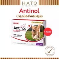 ราคา Antinol Dog แอนทินอล อาหารเสริมไขมัน บำรุงข้อ สำหรับสุนัข 1 กล่อง (60 เม็ด) Vetz Petz (1732482053396595786)