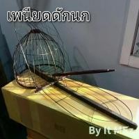 ราคา พร้อมส่ง งานฝีมือ งานช่าง ❗❗ เพนียด เพนียดดักนก กรงกลม แบบชานเดียว เหมาะสำหรับดักนกได้หลายขนาด bird trap (1731651006092904147)