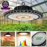 ราคา หลอดไฟปลูกต้นไม้ 100W 200W ไฟปลูกต้นไม้ LED Grow Light กันน้ำ IP66 ไฟต้นไม้ พร้อมสายปลั๊กยาว 1.8 ม. (1732450078623892729)