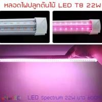 ราคา หลอดไฟปลูกต้นไม้ LED T8 22W ยาว 60CM 96 LED Grow Light AC 220V (1732450202401736577)