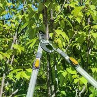 ราคา กรรไกรตัดกิ่งไม้ กรรไกรตัดกิ่งไม้ ยืดหดได้ ด้ามยาว ตัดกิ่งไม้สูง Cutting Branches pruning shears กรรไกรแต่งกิ่ง (1729661087554701720)