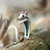 ราคา แหวนเครื่องประดับฮิปฮอป, สำหรับผู้หญิง, การออกแบบ e เงิน, ปรับได้, แฟชั่น ซิลิโคน แหวน jewelry mystery jar မ ျ က ် န ာ ပ ွ င ့ ် ဂ ါ ထ ာ ปรับ ได้ ตาม ขนาด นิ้ว (1731750305478903313)