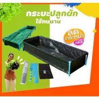 ราคา [ขนาดใหญ่ขึ้น]กระบะปลูกผัก พร้อมโครง PVC 1 นิ้ว ขนาด 60x200x30cm กะบะเพาะปลูก​ ถุงปลูก​ต้นไม้ แปลงผัก ใช้​ป​ลูกผัก กระบะเพาะปลูก แปลงผักเพาะปลูก กระบะปลูกผัก กระบะปลูกผักสวนครัว (1732465228895389652)