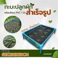 ราคา [สไตล์ใหม่]กระบะปลูกผัก พร้อมโครง60x200x30cm PVC 1 นิ้ว ขนาด กะบะเพาะปลูก​ ถุงปลูก​ต้นไม้ แปลงผัก ใช้​ป​ลูกผัก กระบะเพาะปลูก แปลงผักเพาะปลูก กระบะปลูกผัก กระบะปลูกผักสวนครัว ป (1732465169524622756)