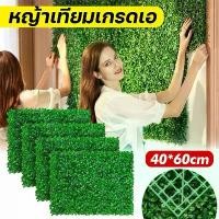 ราคา (จัดส่งทันที)หญ้าเทียม 40X60cm ติดผนัง หญ้าเทียมปูพื้น หญ้าปลอม หญ้าเทียม สำหรับตกแต่งสวน หญ้าเทียมตกแต่งผนัง กำแพงหญ้าเทียม แต่งร้านแต่งคาเฟ่ กันแดดไม่กันลมแต่งร้านแต่งคาเฟ่ (1732429601259227119)