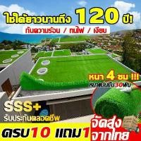 ราคา หญ้าไม่หลุด 100% หญ้าเทียม 2x10เมตร หญ้าปลอม แผ่นหญ้าเทียม สนามหญ้าจำลองคุณภาพสูง สีเหมือนจริง นุ่มนิ่ม ไม่ทิ่มมือ หญ้าเทียมปูพื้น ผ้าปูหญ้าเทียม หญ้าเทียมถูกๆ artificial grass (1731715507459754598)