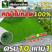 ราคา 【SSS+ คุณภาพสูง】หญ้าเทียม 2x10เมตร หญ้าปลอม แผ่นหญ้าเทียม สีเหมือนจริง นุ่มนิ่ม หญ้าเทียมปูพื้น ผ้าปูหญ้าเทียม หญ้าเทียมถูกๆ artificial grass (1731715289288182374)