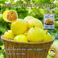 ราคา บรรจุ 50 เมล็ด ผลผลิตสูง เมล็ดพันธุ์ เสาวรสสีเหลือง Sweet Yellow Passion Fruit Seeds for Planting Fruit Plant เมล็ดพันธุ์เสาวรสสีเหลือง เมล็ดพันธุ์ เสาวรสหวาน ต้นไม้ผลกินได้ เมล็ (1732464678478317017)
