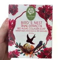 ราคา Birds nest snail extract and red algae collagen soap - สบู่สาหร่ายแดง (1732501381676697393)