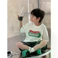 ราคา เด็กชายแขนสั้นเสื้อยืด 2025 ใหม่ Han Fan Pi Shuai ฤดูร้อนเสื้อผ้าฝ้ายด้านบนเด็กครึ่งแขนเสื้อผ้าเด็กผู้ชาย (1731687279222228346)