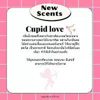 ราคา Kanthawong SUGAR BEAR :: น้ำหอมกลิ่นแป้งเด็ก ขนม ดอกไม้ ขนาด 10ml (1732462951581320943)