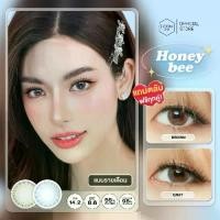 ราคา คอนแทคเลนส์รายเดือนคิตตี้ คาวาอิ รุ่น Honey Bee (1731344627036949112)