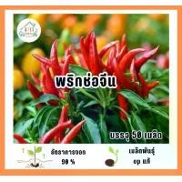 ราคา เมล็ดพันธุ์พริกช่อจีน (Chinese chili peppers) บรรจุ 50 เมล็ด (1732270786900690917)