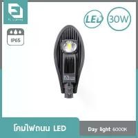 ราคา FL-Lighting โคมไฟถนน LED 30W / Street Light FL6016 แสงเดย์ไลท์ ( แสงขาว ) COD (1731570182538298884)