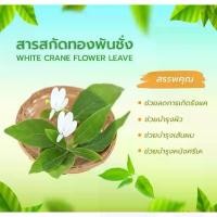 ราคา ของแท้ 100% สารสกัดทองพันชั่ง / White Crane Flower Leaf Extract / สารสกัดสมุนไพร / สำหรับผสมเครื่องสำอางเท่านั้น (1731924324355770276)