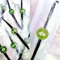 ราคา ฝักวานิลลา ฝักวนิลา แท้ 100 % ฝักวานิลลานำเข้า Vanilla planifolia (1730549074339268832)