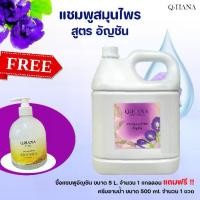 ราคา [ซื้อ1แถม1]แชมพูสมุนไพรอัญชัน Herbal Shampoo แชมพูสระผม บรรจุแกลลอน ยี่ห้อ Q-HANA ขนาด 5 ลิตร (1729646423337306811)
