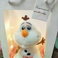 ราคา ของเล่นตุ๊กตา Disney Frozen 2, Olaf, ตุ๊กตาเจ้าหญิง Elsa, Anna Elsa จี้ (1732277273959696342)