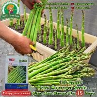 ราคา ปลูกง่าย เมล็ดสด 100% 10 เมล็ด เมล็ดหน่อไม้ฝรั่ง Green Asparagus Seeds for Planting Vegetables Plants หน่อไม้ฝรั่ง อร่อยมากกก เมล็ดหน่อไม้ฝรั่ง เมล็ดพันธุ์ผัก ต้นไม้มงคล ผักสวนคร (1732464939334075865)