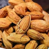 ราคา อัลมอนด์ ถั่ว อัลมอนด์อบเนย (มีเปลือก) อัลมอนด์เกรดA (Almond) 500g (1729626396219378618)