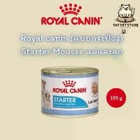 ราคา Royal Canin Starter Mousse แม่และลูก (แบบกระป๋อง) (1731572980174194631)