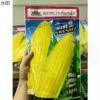 ราคา ที่นิยมมากที่สุด เมล็ดพันธุ์ ข้าวโพดหวาน เฟรชชี่ เมล็ดพันธุ์ข้าวโพด sweet corn (1731272238648231818)