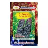 ราคา เมล็ดข้าวโพดม่วง Purple Corn MT/OP-068 ตราภูเขาทอง เมล็ดพันธุ์ข้าวโพดม่วง เมล็ดข้าวโพดสีม่วง เมล็ดข้าวโพด เมล็ดข้าวโพด เมล็ดพันธุ์ข้าวโพด (1729736290753350651)
