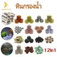 ราคา หินกรอง 12 in 1 หินกรองตู้ปลา วัสดุกรองน้ำตู้ปลา วัสดุกรอง เซรามิคตู้ปลา 500กรัม เตียงปลากัด kaiyukan aquarium หิน กรอง ตู้ปลา เซรามิก รอง (1731972795171832999)