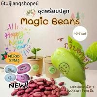 ราคา ถั่วบอกรัก [Magic Beans] ชุดพร้อมปลูก Let’s grow ลดราคาพิเศษพร้อมโค้ดส่วนลด‼️ (1731271266931344682)