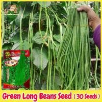 ราคา Green Long Beans Seed Organic Vegetable Seeds เมล็ดถั่วยาวสีเขียว ถั่วพุ่ม ผักออร์แกนิก เมล็ดพันธุ์ผัก บอนไซ พันธุ์ผัก เมล็ดผัก เมล็ดพันธุ์ OP แท้ ผักสวนครัว ของแท้ 100% เมล็ดงอก (1732033126472713357)