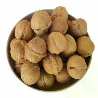 ราคา [จัดส่งทันที] ลูกวอลนัท walnut 1kg ขนมนกแก้ว ชูการ์ แฮมสเตอร์ กระรอก สัตว์เลี้ยงฟันแทะ (1731839131001652949)