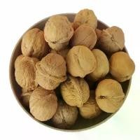 ราคา ลูกวอลนัท walnut 1kg ขนมนกแก้ว ชูการ์ แฮมสเตอร์ กระรอก สัตว์เลี้ยงฟันแทะ (1731042003265423430)