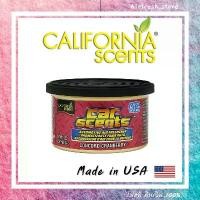 ราคา California Scents กลิ่น Cranberry น้ำหอมปรับอากาศ แบบเยื่อไม้ ไม่อุดตันกรองแอร์ แคลิฟอร์เนียเซ็นส์ กลิ่นแคนเบอรี่ ขายร้อน คอนโซลกลางรถตู้ ชุด หุ้ม เบาะ รถยนต์ พวงมาลัย ชุดหุ้ม (1731735121473473433)