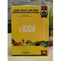 ราคา Dcov สารสกัด กระชายขาว ขมิ้นชันพลูคาว Curcumin finger root Ginger Cordata Nano Herb (1729758409518778839)
