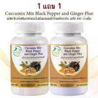 ราคา 1แถม1 ขมิ้นชันผสมพริกไทย และ ขิง พลัส ตรา บ้านยิ้ม Curcumin Mix Black Pepper & Ginger Plus 600 มก. 100 เม็ด (1731741557490026551)