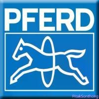 ราคา PitakSonthong สินค้าแนะนำ PFERD ตะไบสามเหลี่ยมผอม ตะไบลับคม 6 นิ้ว พร้อมด้ามตราม้าลอดห่วง เยอรมันแท้ Slim saw File (1732489501273523367)
