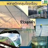 ราคา พลาสติกโรงเรือน พลาสติกคลุมโรงเรือน 7เมตร 8เมตร ยกม้วน 30เมตร 145ไมครอน ปลูกผัก ผ้ายางคลุมโรงเรือน ผ้าพลาสติกใส กันน้ำ กันฝน UV 7 กระจายแสง (1730387693841123785)