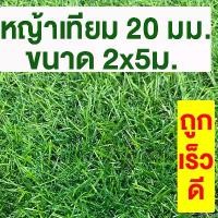ราคา savety168 แบบพกพา หญ้าเทียม เกรดA สูง 20มม. ขนาด 2x5ม. กันUV หญ้าเทียมราคาถูก หญ้าปลอม หญ้าเทียมถูกๆ คุณภาพดี สีไม่ซีด มีรูระบายน้ำ แต่งสวน จัดส่งไว (1730945055363140071)