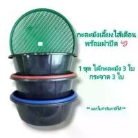 ราคา PIUJNH ขาย ร้อน Small Evting กะละมังเลี้ยงไส้เดือนพร้อมฝาปิด (ชุดล่ะ 3 ใบ ) กะละมังเลี้ยงไส้เดือน กะละมังพลาสติก กระจาดพลาสติก (1732278073059870040)