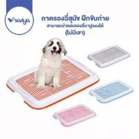 ราคา CODถาดรองฉี่สุนัข ถาดฝึกขับถ่าย (TD01) ถาดรองฉี่ ห้องน้ำสุนัข Dog pee Toilet pad trayTikTok (1732657035280483446)
