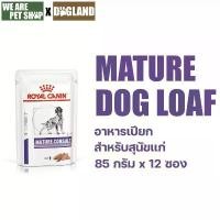 ราคา Royal Canin Vet Dog Mature อาหารเปียกหมาแก่ 12 ซอง/กล่อง สวัสดิการสด (1732534932182238325)