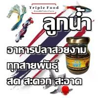 ราคา [จัดส่งทันที] ลูกนำ้ UHT อาหารปลา Fish Food ปลากัด อาหารปลาหางยุง ปลาสอด อาหารลูกปลา ลูกปลากัด ปลาสวยงาม ลูกน้ำสด ลูกน้ำอบแห้ง ยังมี ไรแดง อาทีเมีย (1732573538014758007)