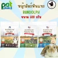 ราคา [ 500g. ] หญ้ากระต่าย Randolph หญ้า Randolph หญ้าอบแห้ง หญ้าทีโมธี หญ้าอัลฟาฟ่า หญ้าโอ๊ต แรนดอฟ หญ้า สำหรับ กระต่าย หนูต มีบริการเก็บปลายทาง rabbit tank (1731861424880846542)