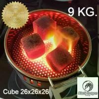 ราคา BlackDragon ถ่านบาบีคิว ถ่านอัดแท่งกะลามะพร้าว รูปทรงสี่เหลี่ยมลูกเต๋า Coconut Shell Charcoal Cube 26x26x26 9kg. (1732632932525770192)