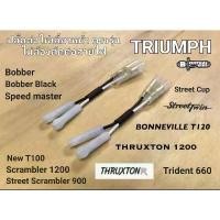 ราคา Triumph adapter front or Rear signal/ปลั๊กต่อไฟเลี้ยวหน้าและหลังไม่ต้องต่อสายไฟสำหรับTriumphปี2016ขึ้นไป อะไหล่ เเต่ง มอไซค์ ผ้า หุ้มเบาะ มอเตอร์ไซด์ สําเร็จ รูป (1732277758965744972)
