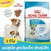 ราคา Royal Canin Mini Starter Mother & Babydog อาหาร รอยัลคานิน ลูกสุนัข และ แม่สุนัข พันธุ์เล็ก เม็ดเล็ก ขนาด 3 kg (1732631484505490731)