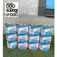ราคา ROYAL CANIN Starter 195g×12 กระป๋อง (1732152746676880998)