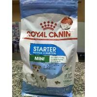 ราคา Royal Canin Mini Starter Mother&Babydog 1 kg อาหารเม็ดสำหรับแม่และลูกสุนัขพันธุ์เล็ก COD (1732522285119604134)