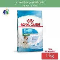 ราคา Royal Canin Mini Starter Mother&Babydog อาหารสำหรับแม่และลูกสุนัขพันธุ์เล็กหย่านม-3 เดือน ขนาด1กก. สปอตสินค้า (1732549605898946304)